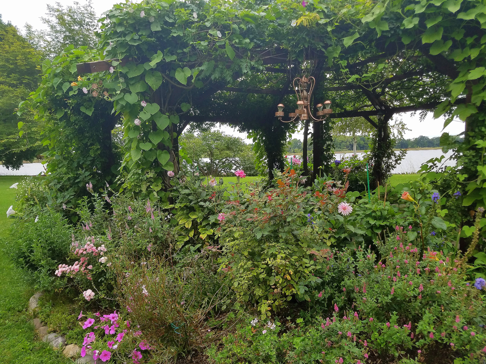 Many of these flowers have been blooming for months